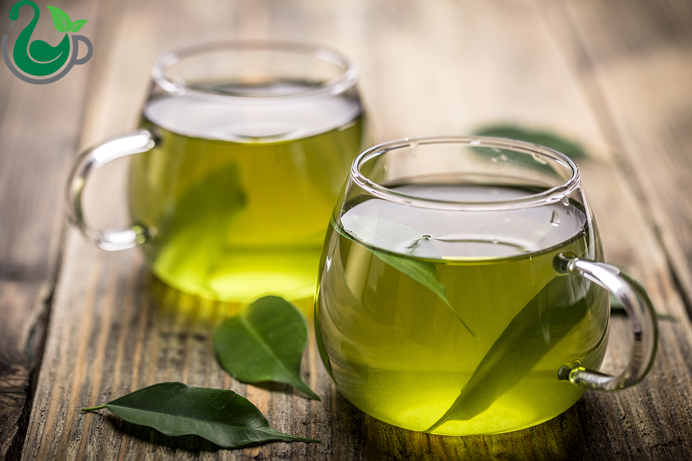 green tea and liver damage