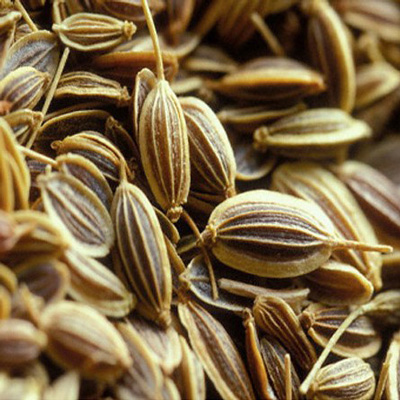 Ajwain